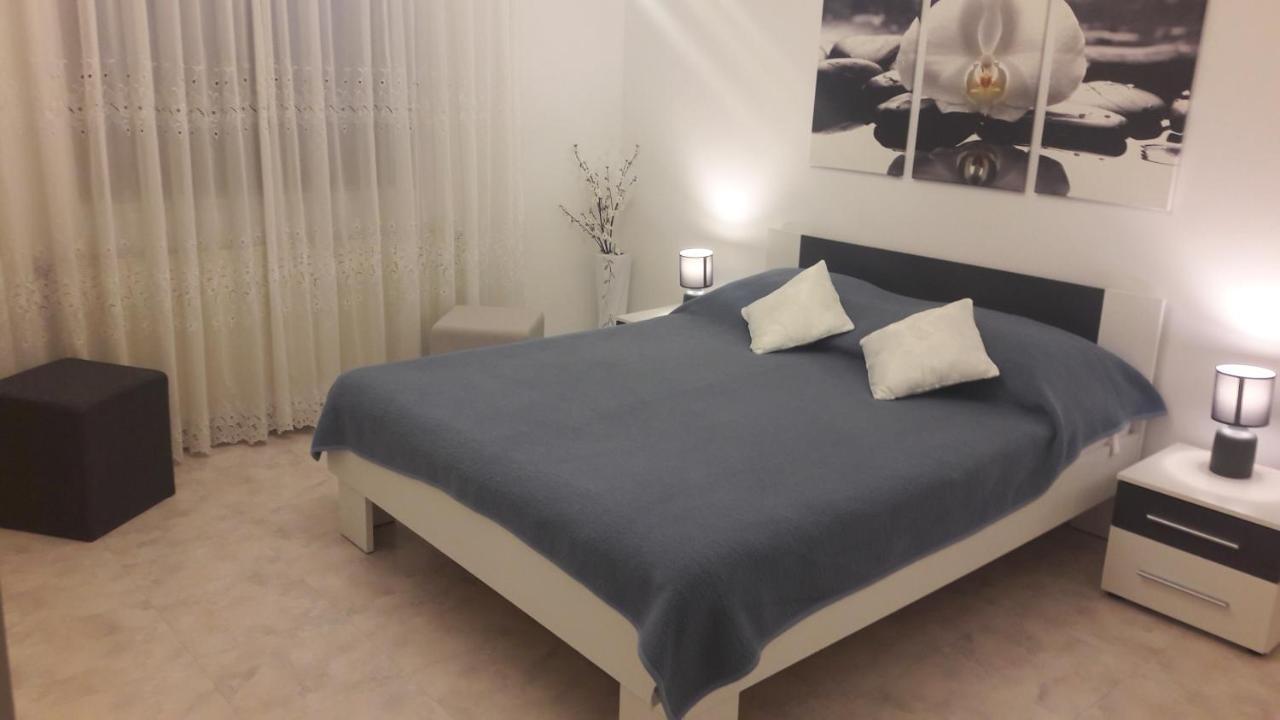 Lili Apartment Novigrad  Exterior photo