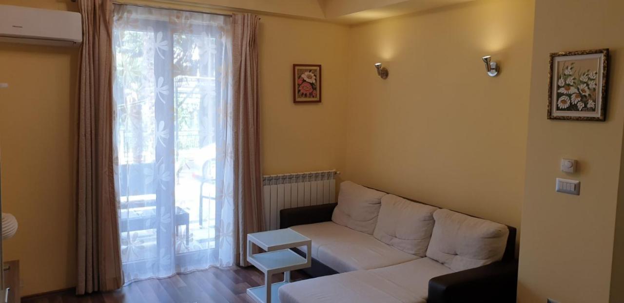 Lili Apartment Novigrad  Exterior photo